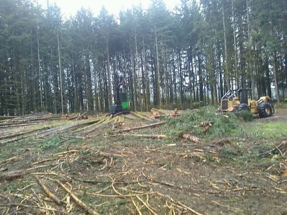 timber management Camas wa