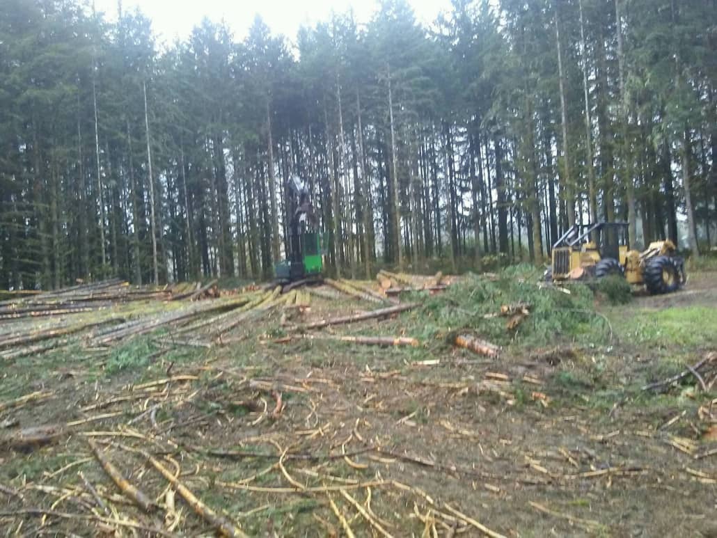timber management Camas wa