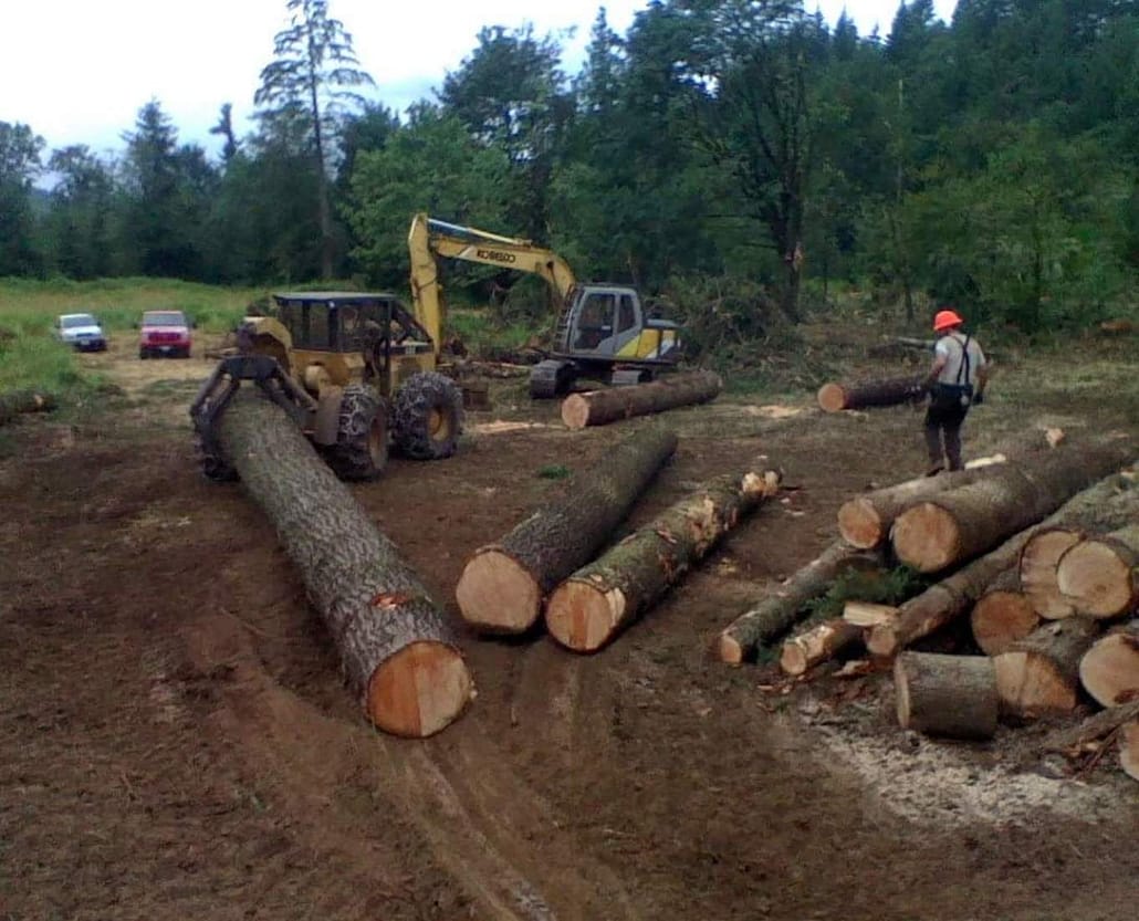 FB_IMG_1539908763559-1030x833 brush removal Olympia wa