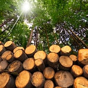 gr1 logging services Longview wa