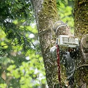 gr2 logging services Camas wa
