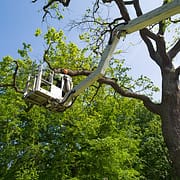 Logging Services Longview Wa Logging Services Longview Wa