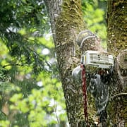 gr2 logging services Longview wa