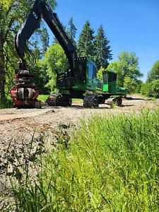 FB_IMG_1699404803738 brush removal Olympia wa