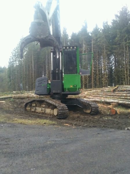 timber management Chehalis wa