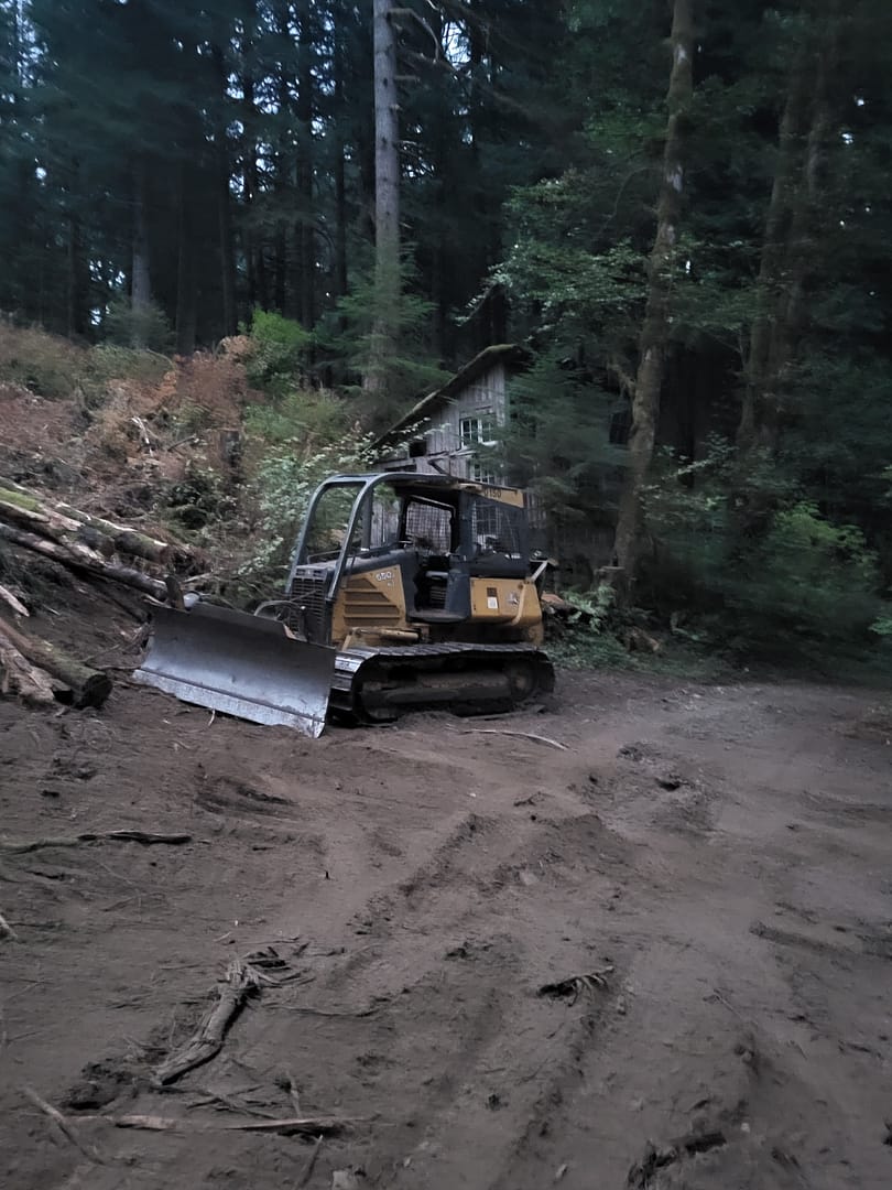 20230829_061137 best brush removal near me